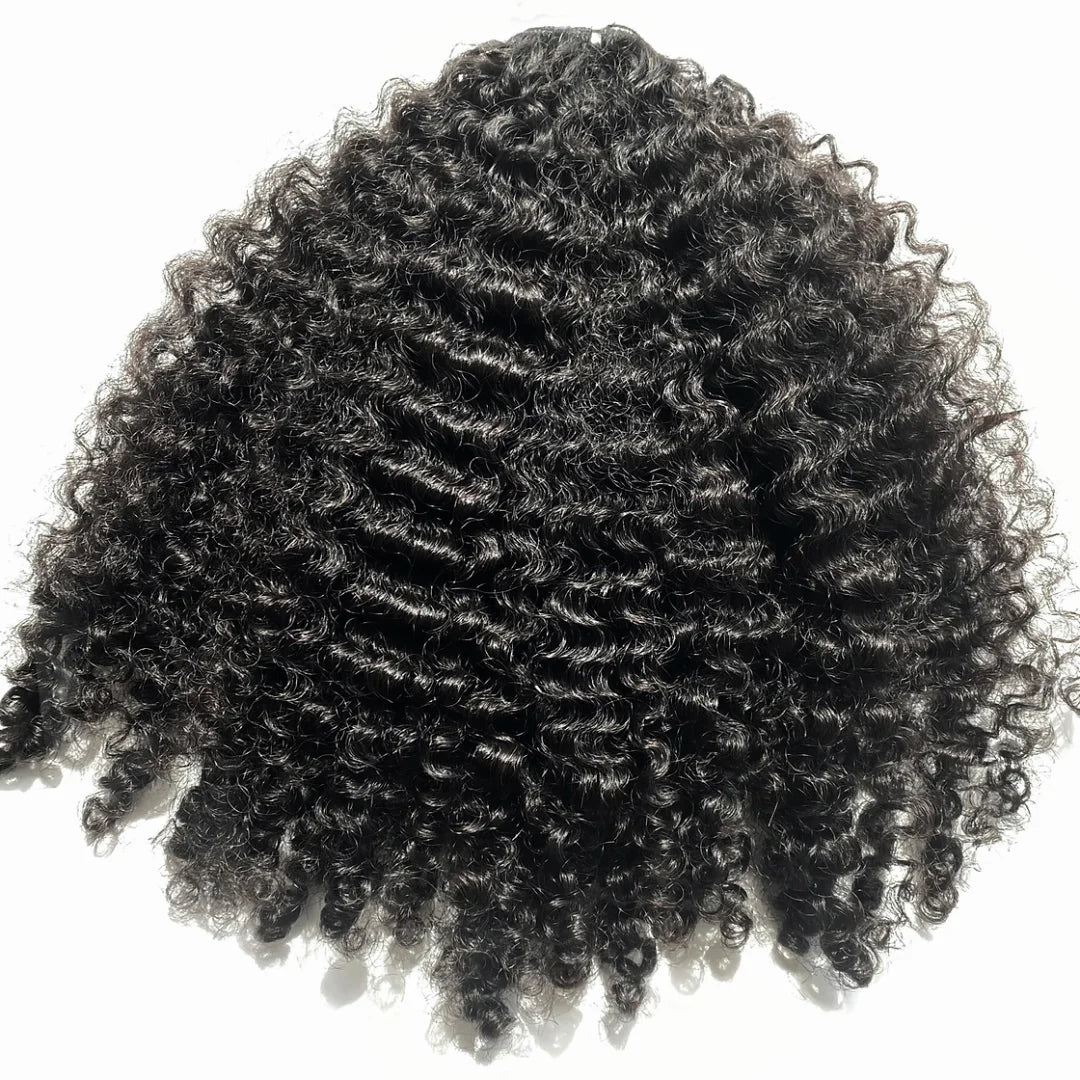 Burmese Curly HD Lace Closure Wig